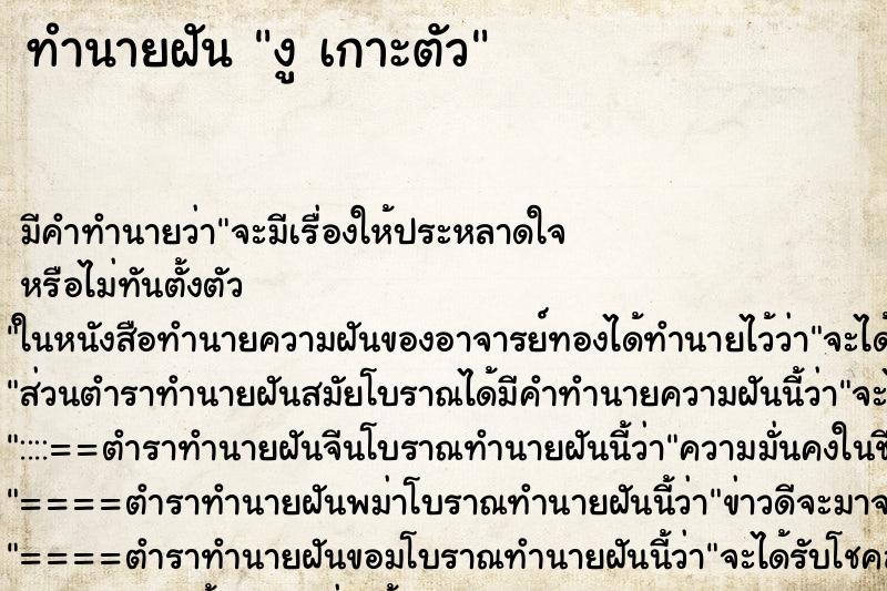 ทำนายฝัน งู เกาะตัว